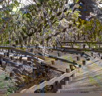 Governor Summit Corrunbral Borawah Walking Track - Sunshine Coast Guide