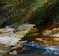 Jumrum Creek Walk Jumrum Creek Conservation Park - Sunshine Coast Guide