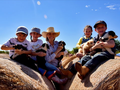 Katherine Outback Experience - Sunshine Coast Guide 1