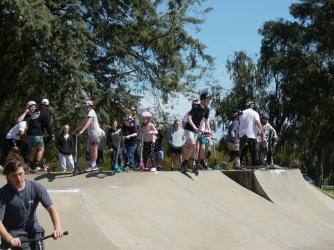 Millicent Skatepark - Sunshine Coast Guide 2