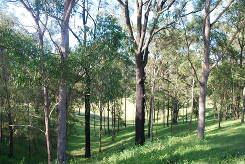 Mount Schoenstatt Spirituality Centre - Sunshine Coast Guide 1