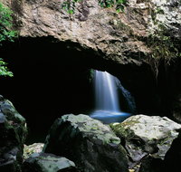 Natural Bridge Circuit Springbrook National Park - Sunshine Coast Guide