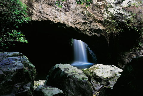 Natural Bridge Circuit, Springbrook National Park - Sunshine Coast Guide 0