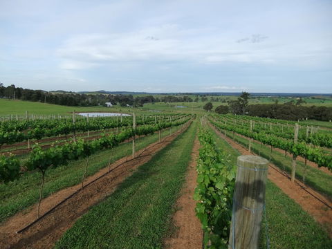 Razorback, Cawdor, Camden Park - Sunshine Coast Guide 0