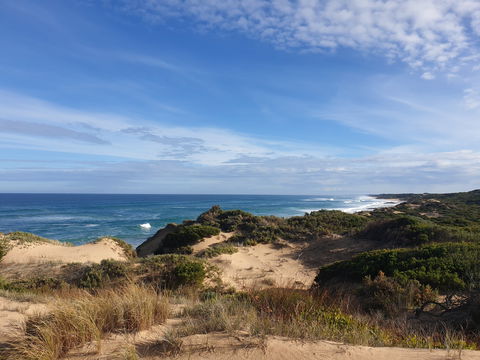 Rye Ocean Beach - Sunshine Coast Guide 0