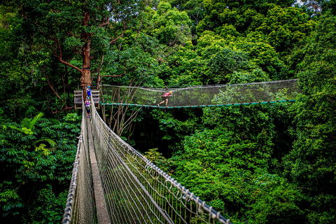 Thunderbird Park ® - Tamborine Mountain, Gold Coast Region - Sunshine Coast Guide 0