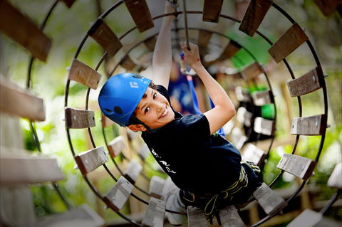 Thunderbird Park ® - Tamborine Mountain, Gold Coast Region - Sunshine Coast Guide 1