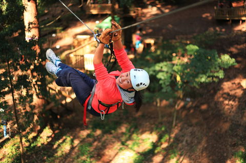 Trees Adventure - Glen Harrow Park - Sunshine Coast Guide 0