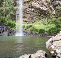 Twin Falls Circuit Springbrook National Park - Sunshine Coast Guide