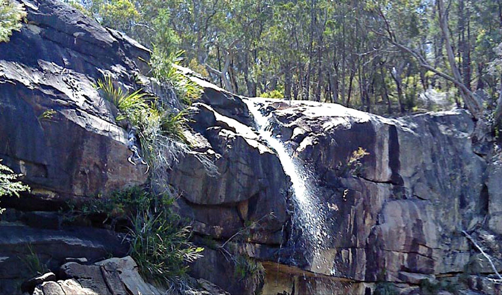 Torrington NSW Sunshine Coast Guide