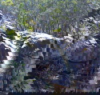 Ugly Corner Falls Walking Track - Sunshine Coast Guide