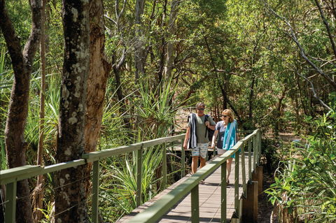 Wangi Falls Walk - Sunshine Coast Guide 1