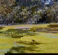 Wombeyan picnic area - Sunshine Coast Guide