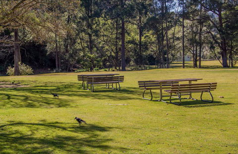 Wombeyan Picnic Area - Sunshine Coast Guide 0