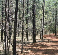 Yana-y Warruwi Walking Track - Sunshine Coast Guide