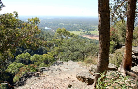Yellow Rock Lookout - Sunshine Coast Guide 0