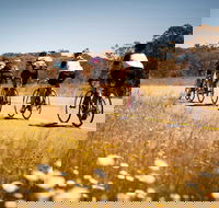 7 Peaks Ride - Dinner Plain