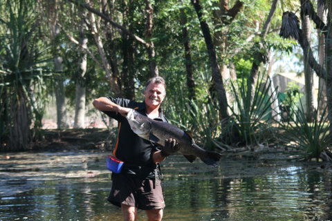 Barra Feeding - Sunshine Coast Guide 0