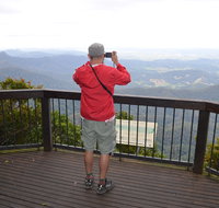 Best of All lookout track Springbrook National Park - Sunshine Coast Guide