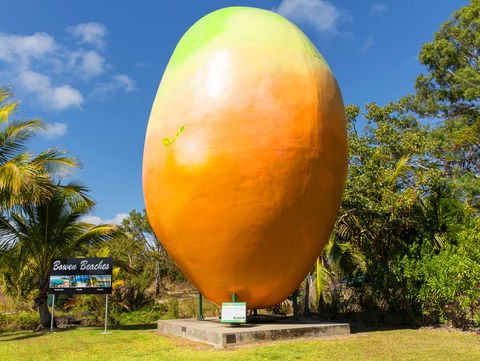 Big Mango - Sunshine Coast Guide 0