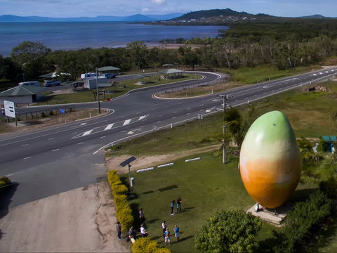 Big Mango - Sunshine Coast Guide 1