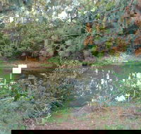 Birdwing Butterfly Walk