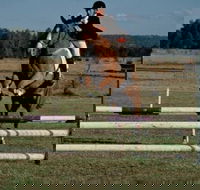 Camden Bicentennial Equestrian Park - Sunshine Coast Guide