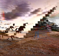 Cape Moreton Lighthouse - Sunshine Coast Guide