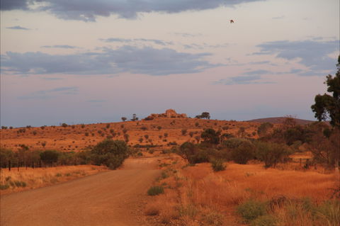 Castle Rock Walk And Lookout - Sunshine Coast Guide 0