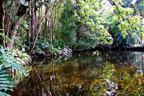 Cascade Gardens - Sunshine Coast Guide 2