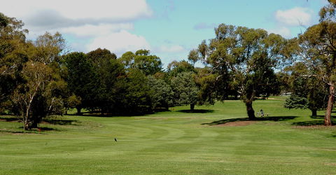 Cooma Golf Club - Sunshine Coast Guide 0
