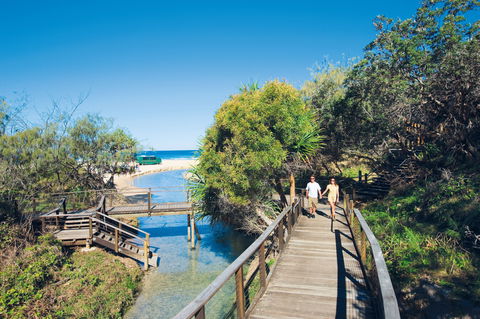 Eli Creek - Sunshine Coast Guide 0