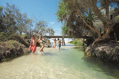 Eli Creek - Sunshine Coast Guide 1