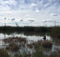 Gwydir Wetlands Moree - Sunshine Coast Guide