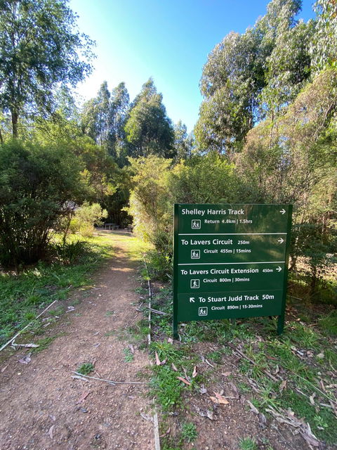 Jehosaphat Gully Picnic Area - Sunshine Coast Guide 2