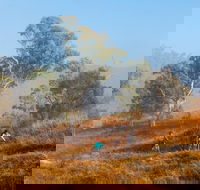 Kambah Pool to Pine Island Walking Trail
