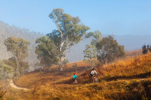 Kambah Pool To Pine Island Walking Trail - Sunshine Coast Guide 0
