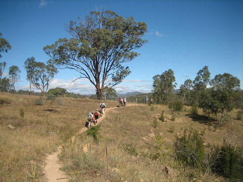 Kambah Pool To Pine Island Walking Trail - Sunshine Coast Guide 1