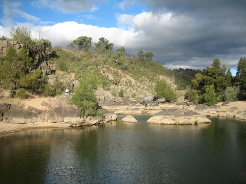 Kambah Pool To Pine Island Walking Trail - Sunshine Coast Guide 2