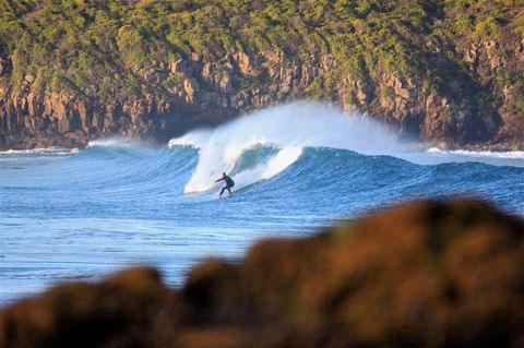 Killalea Reserve - Sunshine Coast Guide 1