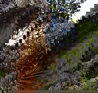 Mystery Face Walking Track - Sunshine Coast Guide