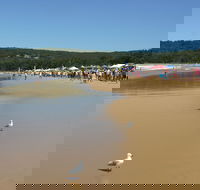 Ocean Beach Umina - Sunshine Coast Guide