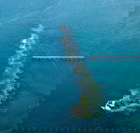 Port Noarlunga Reef Sanctuary Zone - Encounter Marine Park - Sunshine Coast Guide