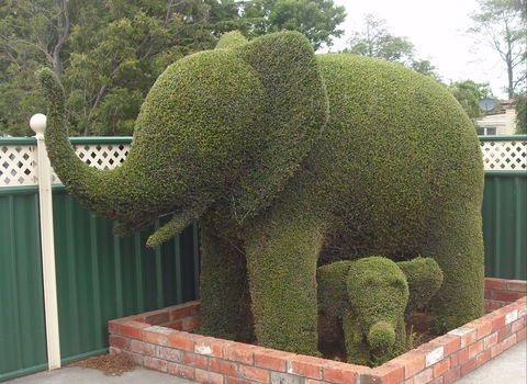Railton: Town Of Topiary - Sunshine Coast Guide 0