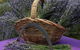 Rustique Lavender Farm - thumb 0