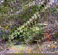 Sawpit Walking Track - Sunshine Coast Guide