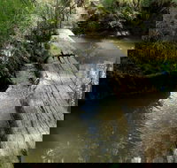Second Ponds Creek Walk - Sunshine Coast Guide