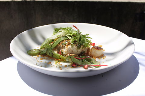 Subiaco - Sunshine Coast Guide 1