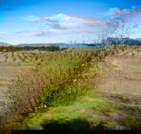 Tarago Truffles - Sunshine Coast Guide