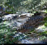 Towarri National Park